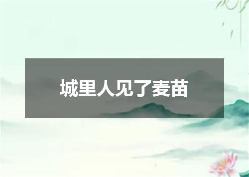城里人见了麦苗