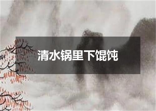 清水锅里下馄饨