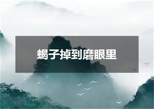 蝎子掉到磨眼里
