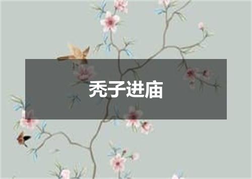 秃子进庙