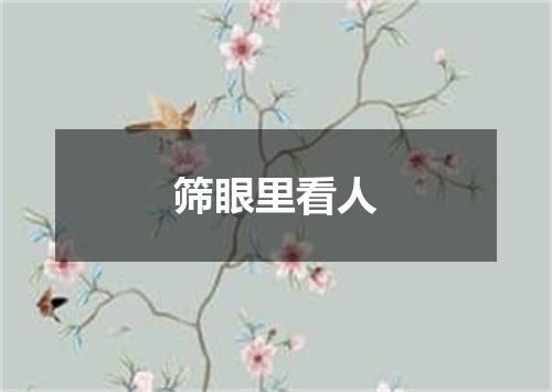 筛眼里看人