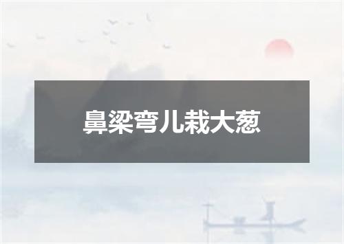 鼻梁弯儿栽大葱