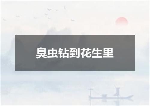 臭虫钻到花生里