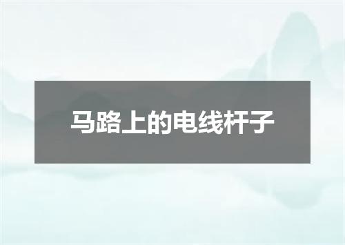 马路上的电线杆子