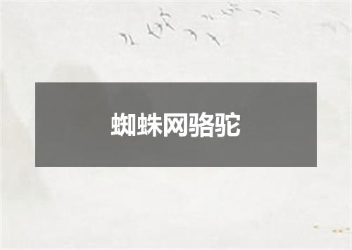 蜘蛛网骆驼