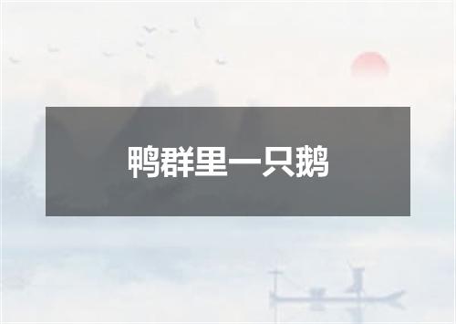 鸭群里一只鹅