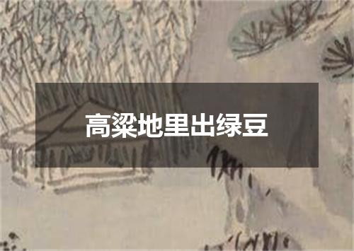 高粱地里出绿豆