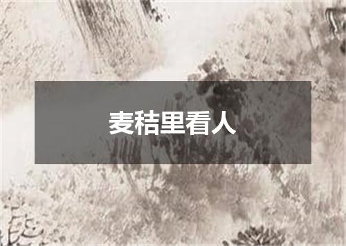 麦秸里看人