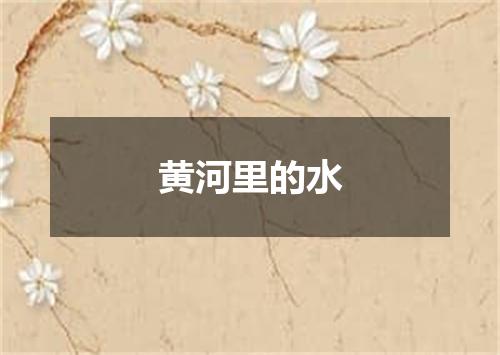 黄河里的水