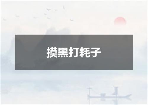 摸黑打耗子