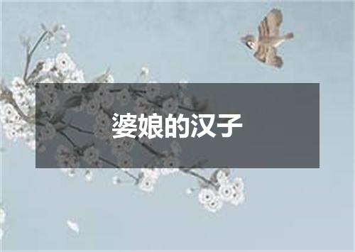 婆娘的汉子