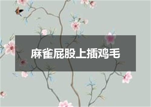 麻雀屁股上插鸡毛