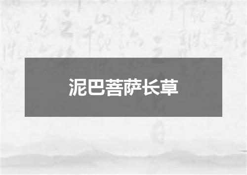 泥巴菩萨长草