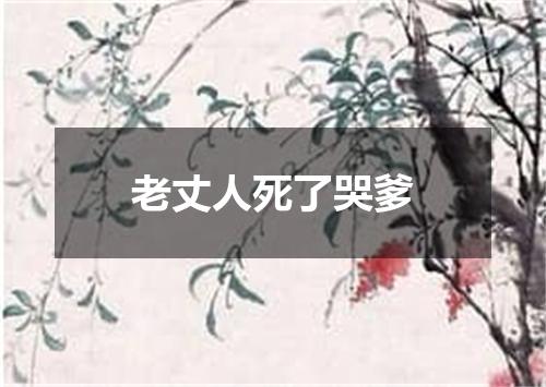 老丈人死了哭爹
