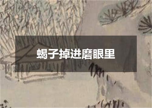 蝎子掉进磨眼里