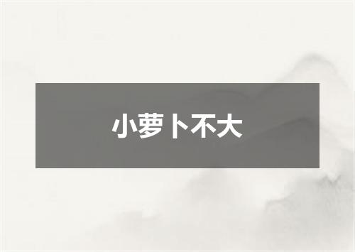 小萝卜不大