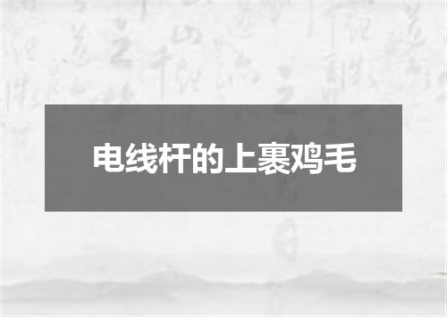 电线杆的上裹鸡毛