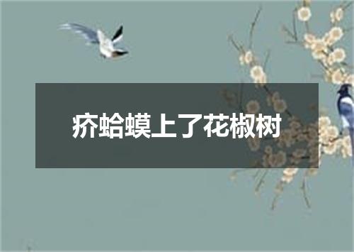 疥蛤蟆上了花椒树
