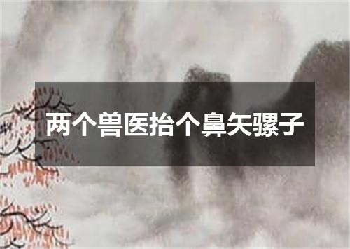 两个兽医抬个鼻矢骡子