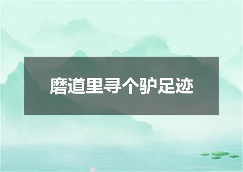 磨道里寻个驴足迹