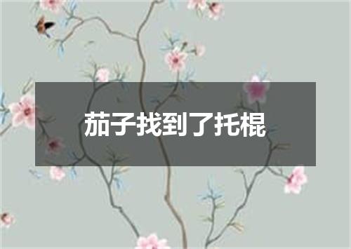 茄子找到了托棍