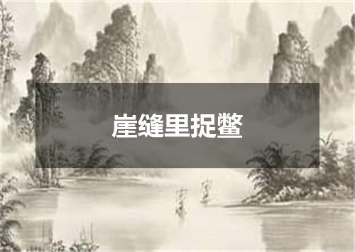 崖缝里捉鳖
