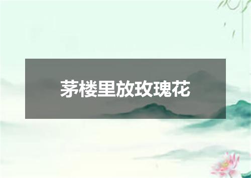 茅楼里放玫瑰花