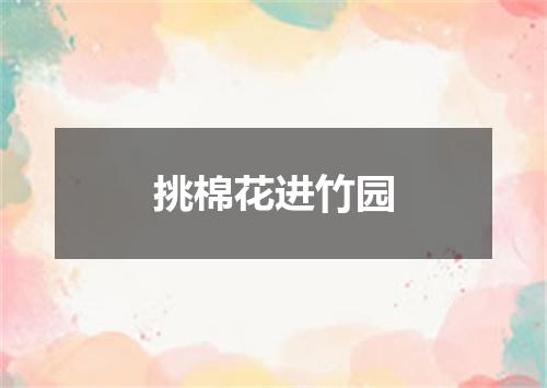 挑棉花进竹园