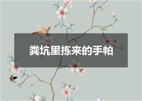 粪坑里拣来的手帕