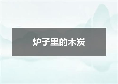 炉子里的木炭