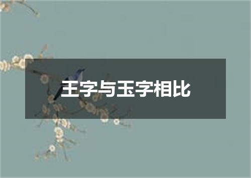 王字与玉字相比
