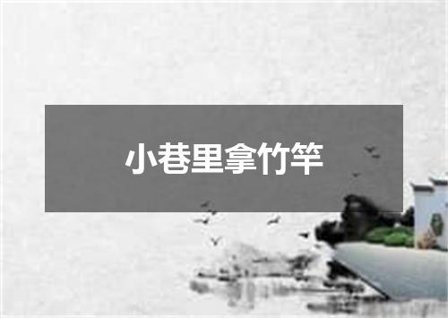 小巷里拿竹竿