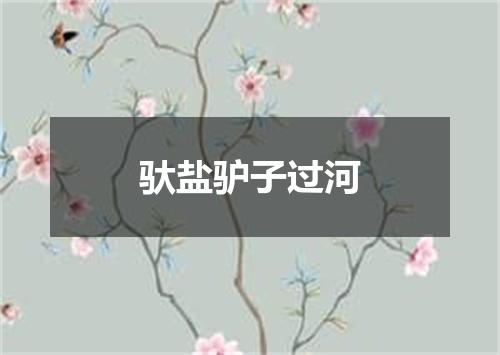 驮盐驴子过河