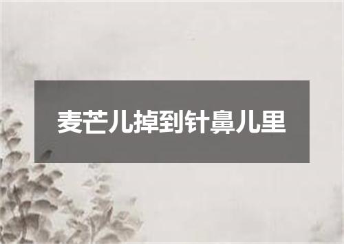 麦芒儿掉到针鼻儿里
