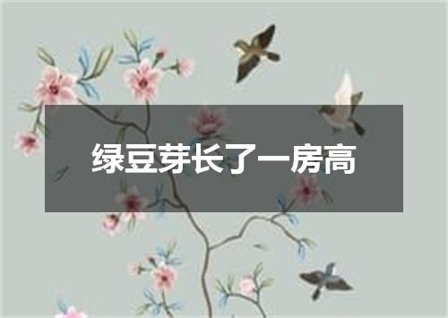 绿豆芽长了一房高