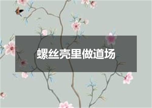 螺丝壳里做道场