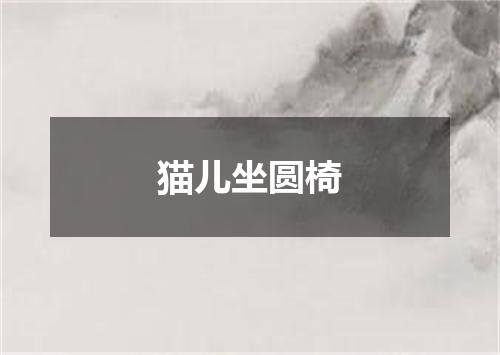 猫儿坐圆椅