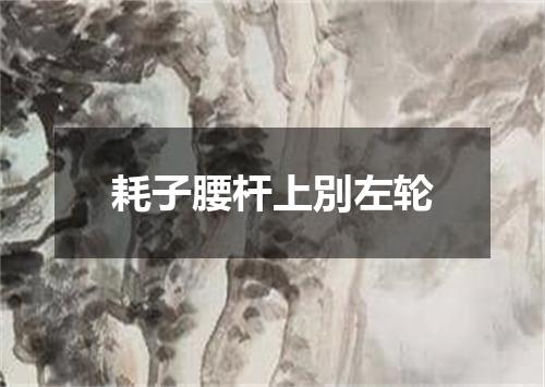 耗子腰杆上別左轮