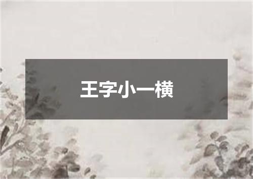 王字小一横