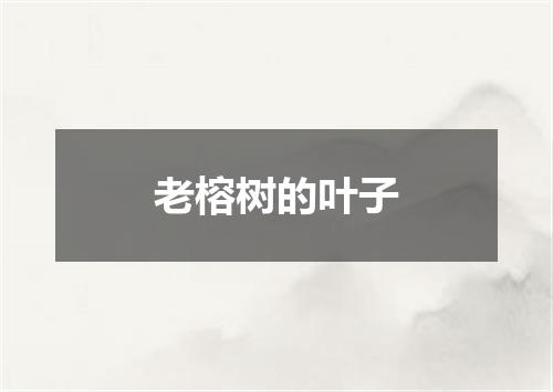 老榕树的叶子