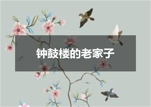 钟鼓楼的老家子