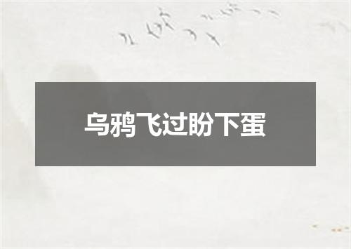 乌鸦飞过盼下蛋