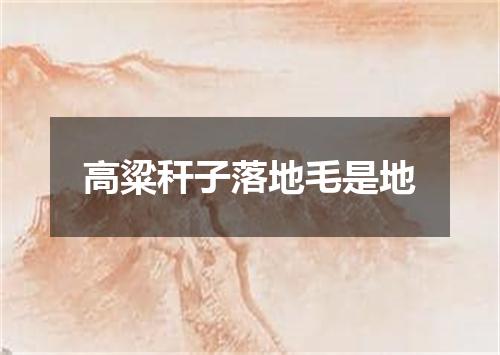 高粱秆子落地毛是地
