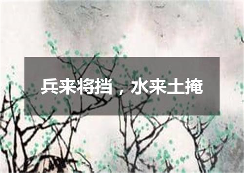 兵来将挡，水来土掩