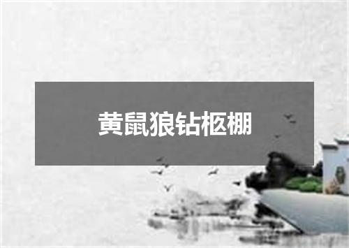黄鼠狼钻柩棚