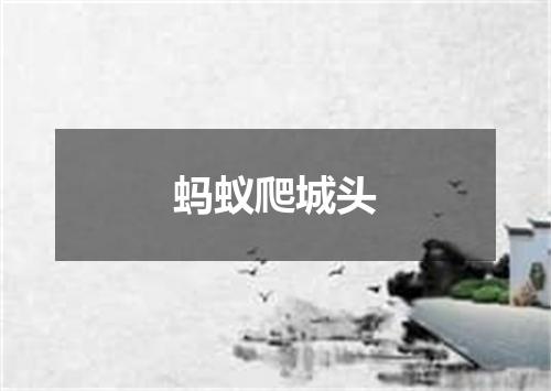 蚂蚁爬城头