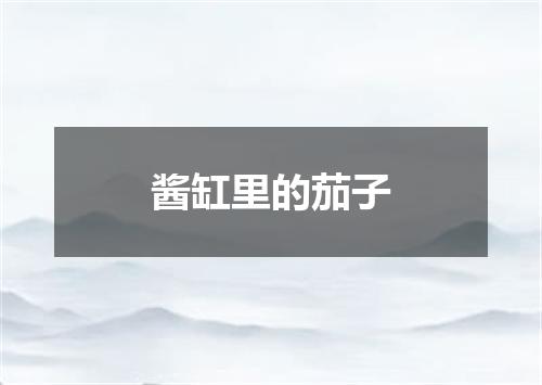 酱缸里的茄子