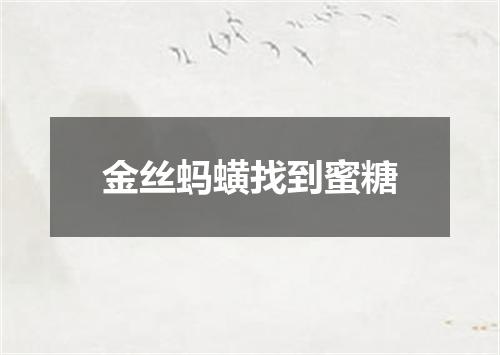 金丝蚂蟥找到蜜糖