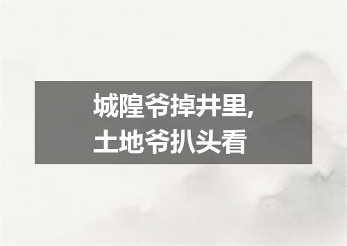 城隍爷掉井里,土地爷扒头看