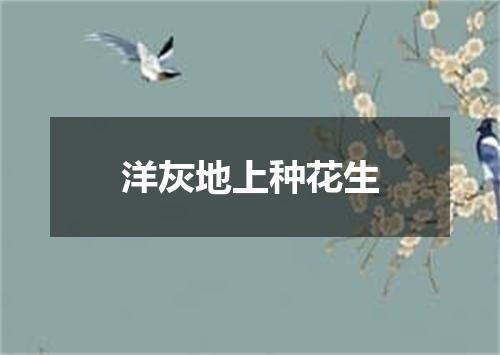 洋灰地上种花生